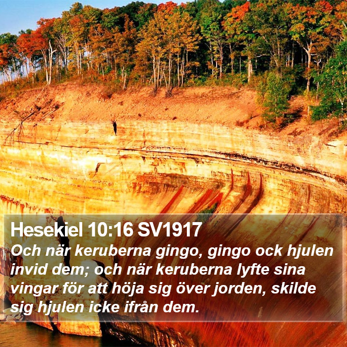 Hesekiel 10:16 SV1917 Bible Study