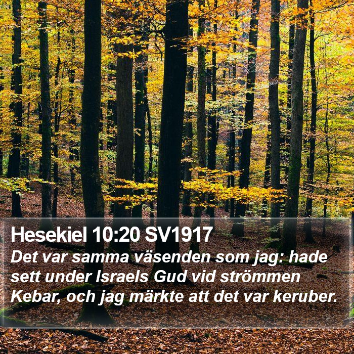 Hesekiel 10:20 SV1917 Bible Study