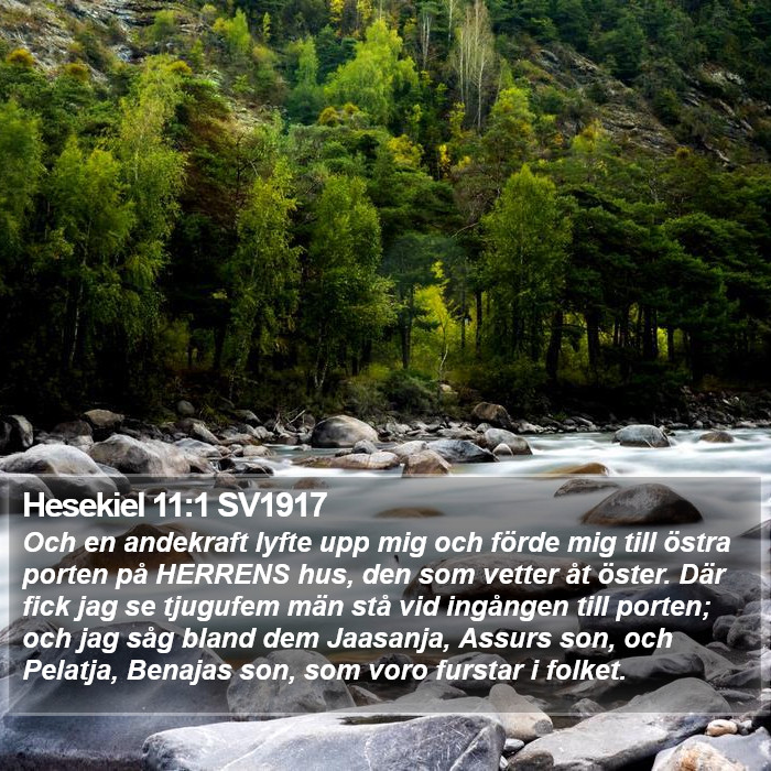 Hesekiel 11:1 SV1917 Bible Study