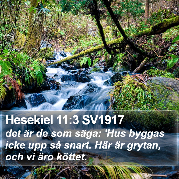 Hesekiel 11:3 SV1917 Bible Study