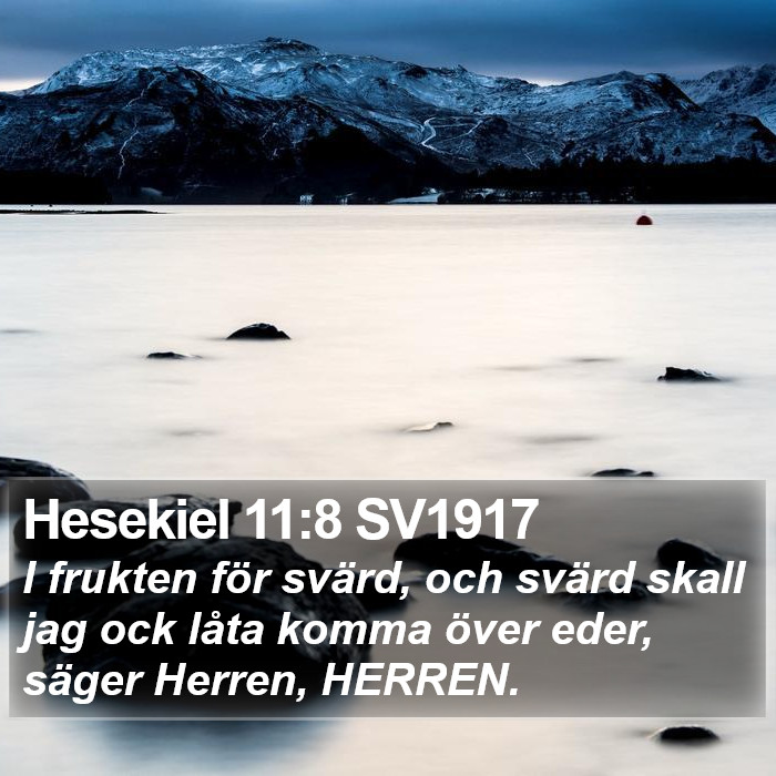 Hesekiel 11:8 SV1917 Bible Study