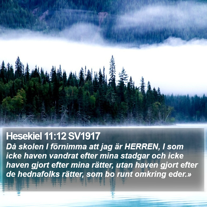 Hesekiel 11:12 SV1917 Bible Study