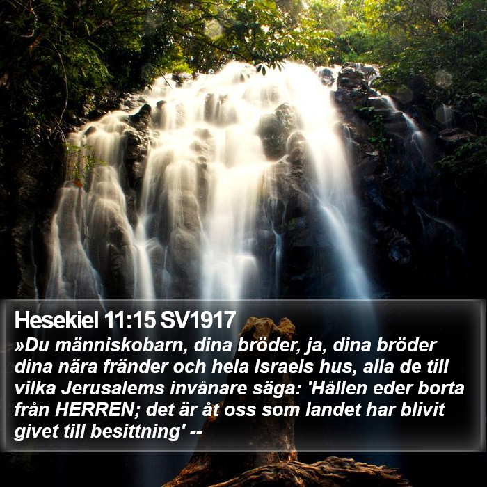 Hesekiel 11:15 SV1917 Bible Study