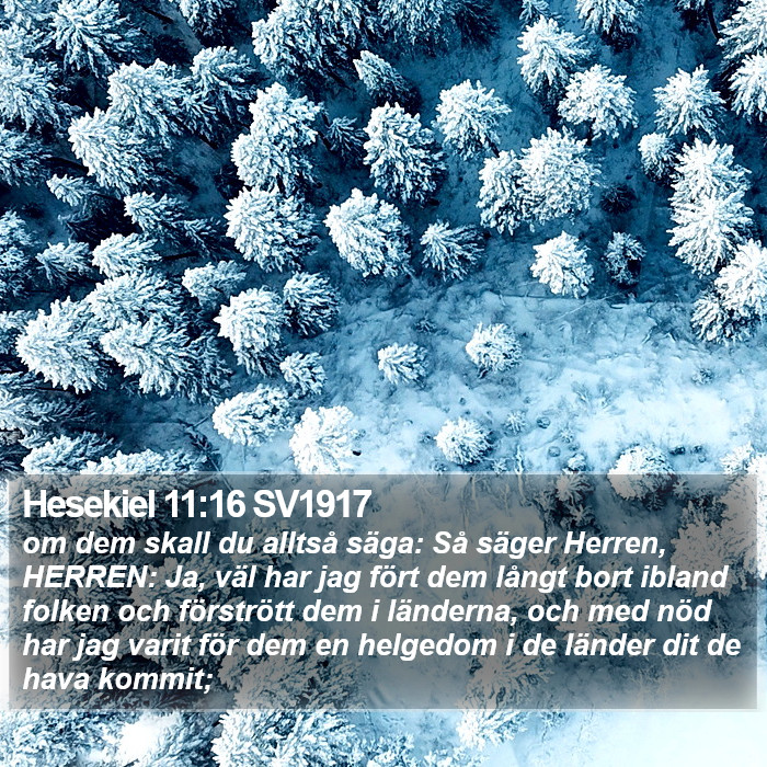 Hesekiel 11:16 SV1917 Bible Study