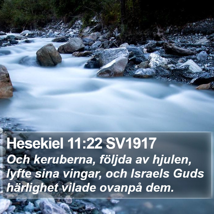 Hesekiel 11:22 SV1917 Bible Study