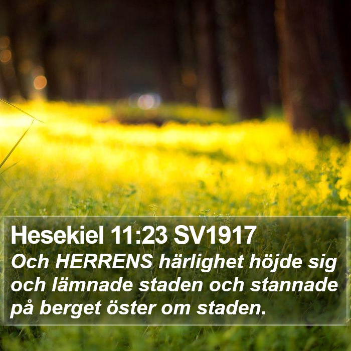 Hesekiel 11:23 SV1917 Bible Study