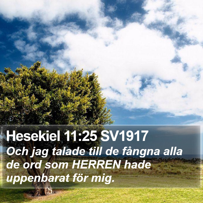 Hesekiel 11:25 SV1917 Bible Study