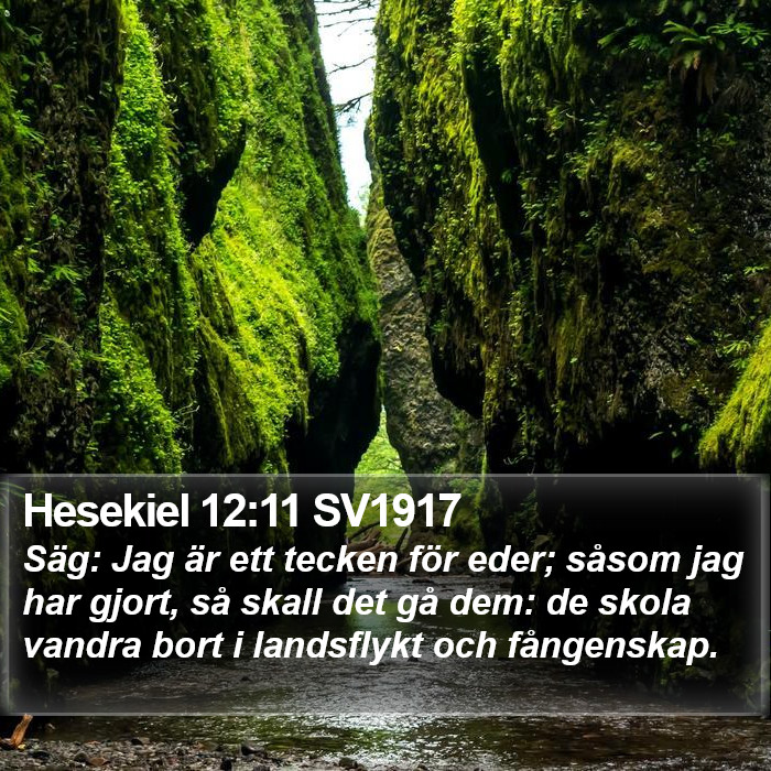 Hesekiel 12:11 SV1917 Bible Study