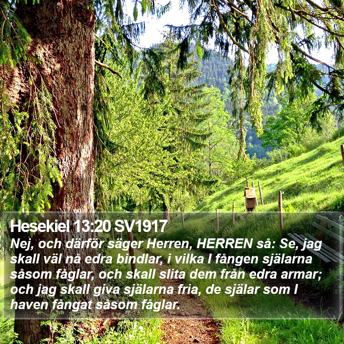 Hesekiel 13:20 SV1917 Bible Study