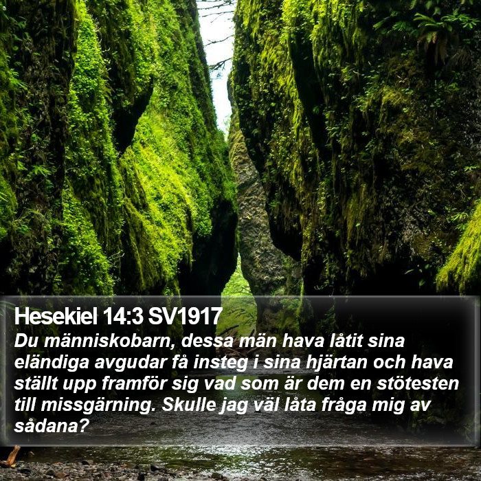 Hesekiel 14:3 SV1917 Bible Study