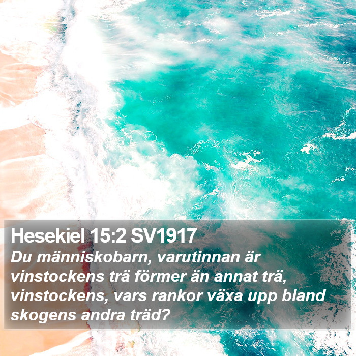 Hesekiel 15:2 SV1917 Bible Study