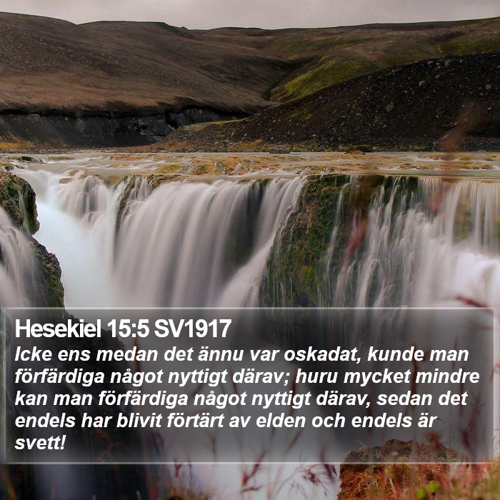 Hesekiel 15:5 SV1917 Bible Study