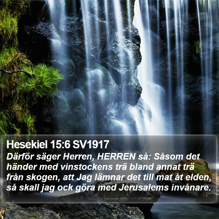 Hesekiel 15:6 SV1917 Bible Study