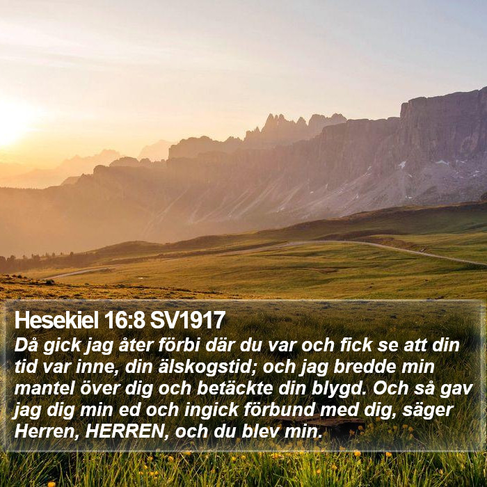 Hesekiel 16:8 SV1917 Bible Study