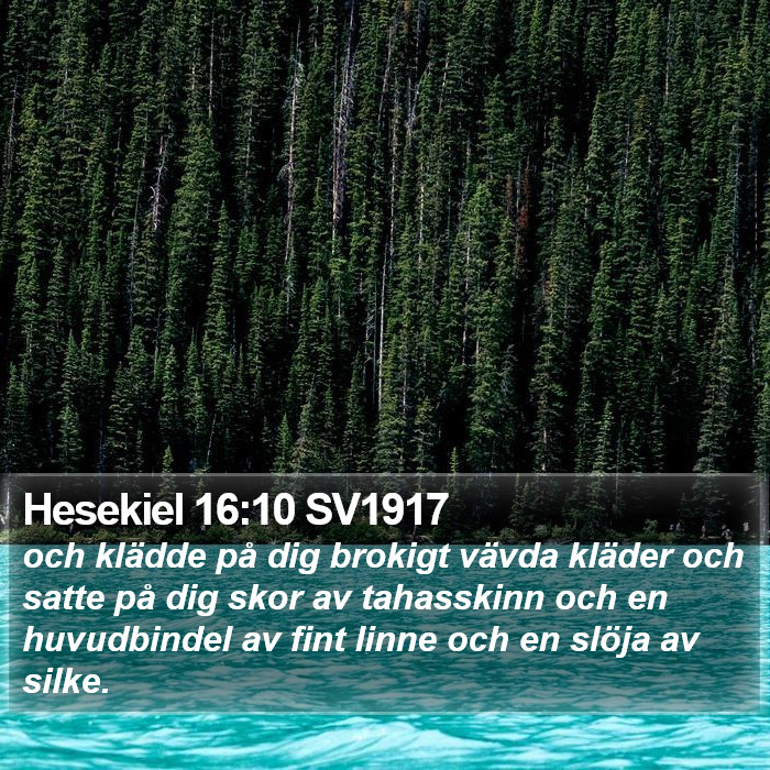 Hesekiel 16:10 SV1917 Bible Study