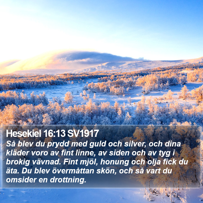 Hesekiel 16:13 SV1917 Bible Study