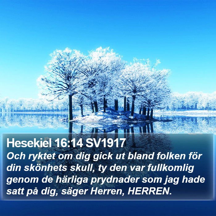 Hesekiel 16:14 SV1917 Bible Study