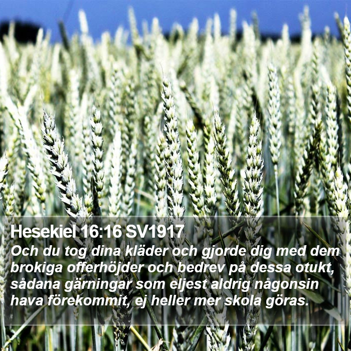 Hesekiel 16:16 SV1917 Bible Study