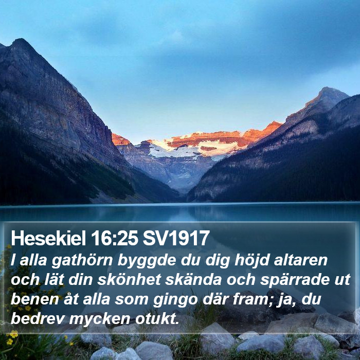 Hesekiel 16:25 SV1917 Bible Study