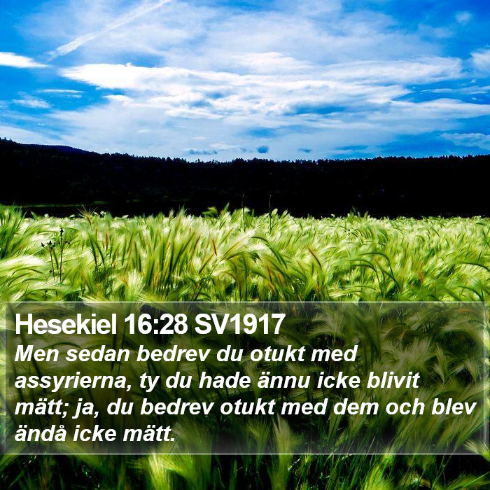 Hesekiel 16:28 SV1917 Bible Study