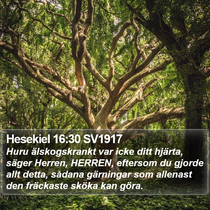 Hesekiel 16:30 SV1917 Bible Study