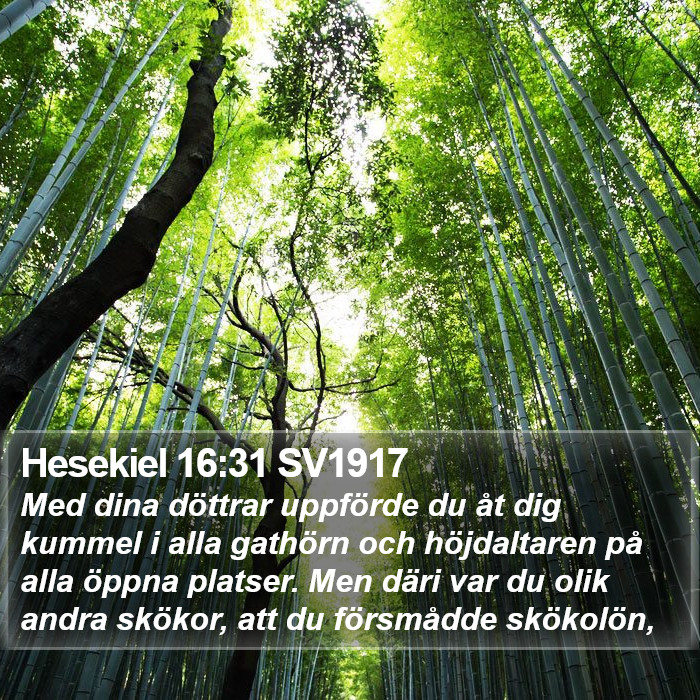 Hesekiel 16:31 SV1917 Bible Study