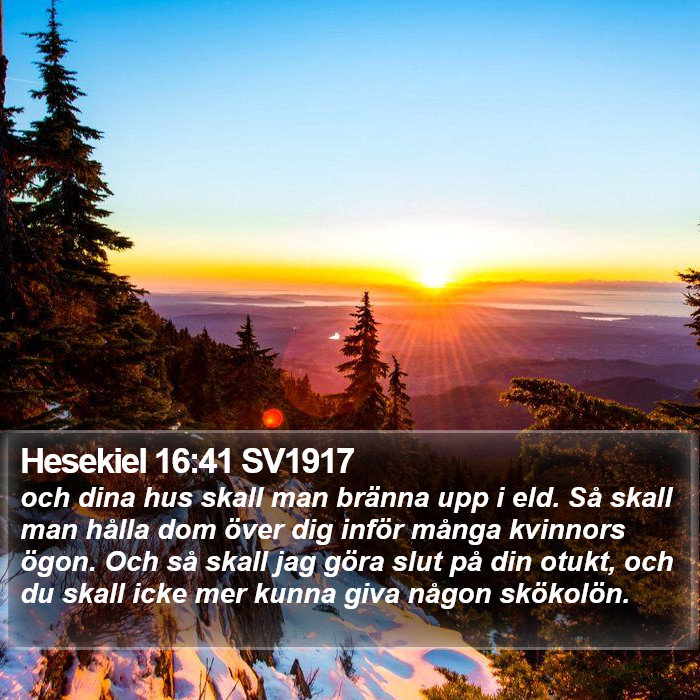 Hesekiel 16:41 SV1917 Bible Study