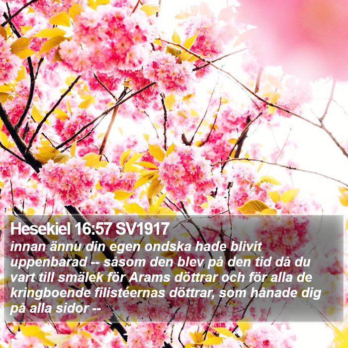 Hesekiel 16:57 SV1917 Bible Study