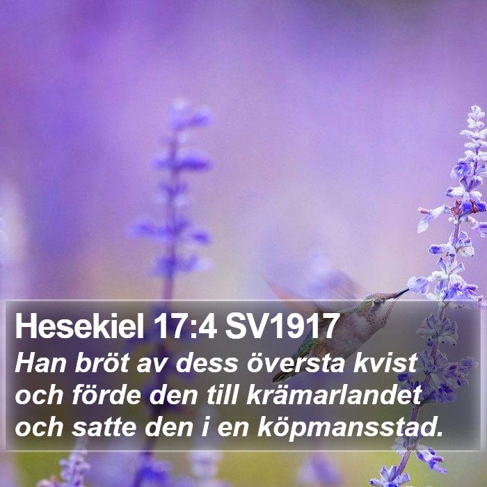 Hesekiel 17:4 SV1917 Bible Study