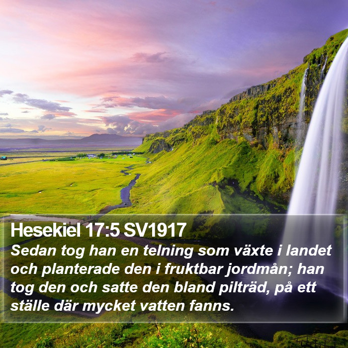 Hesekiel 17:5 SV1917 Bible Study