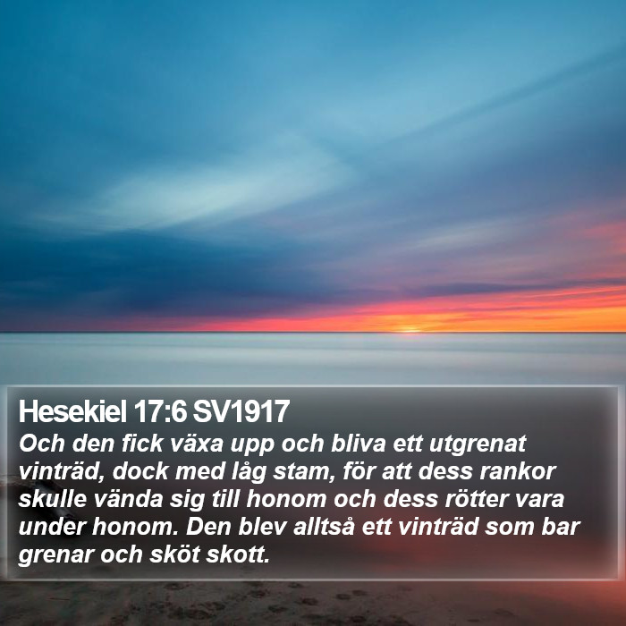 Hesekiel 17:6 SV1917 Bible Study