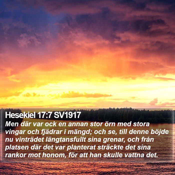 Hesekiel 17:7 SV1917 Bible Study