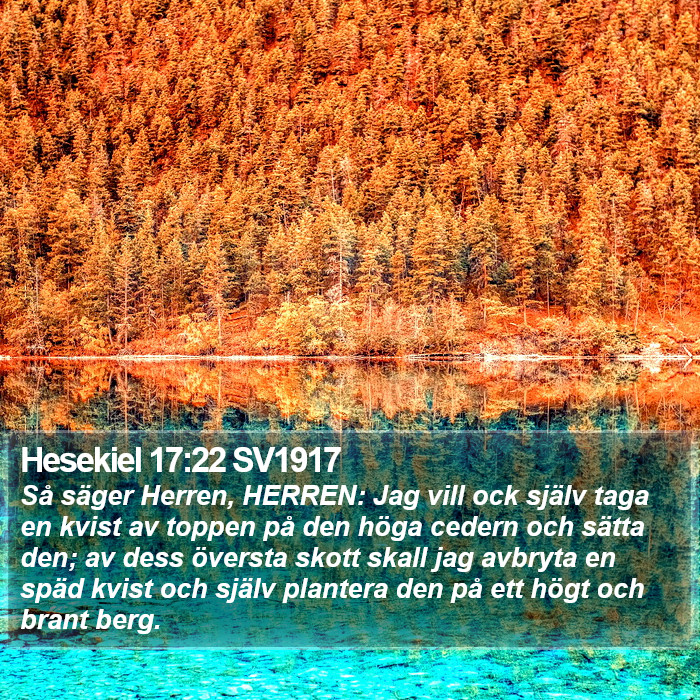 Hesekiel 17:22 SV1917 Bible Study