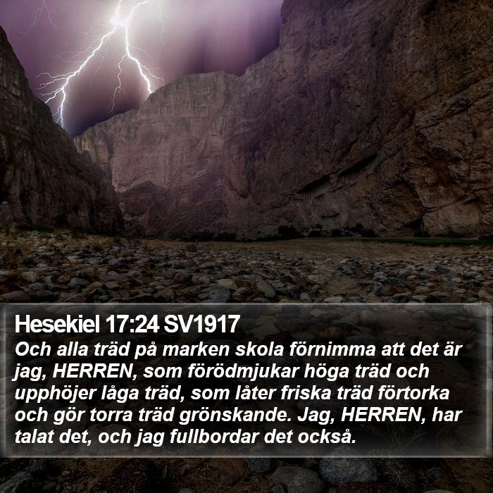 Hesekiel 17:24 SV1917 Bible Study