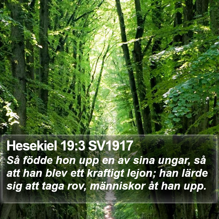 Hesekiel 19:3 SV1917 Bible Study