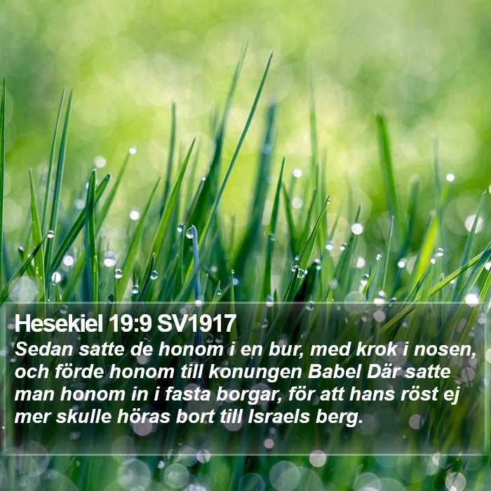 Hesekiel 19:9 SV1917 Bible Study