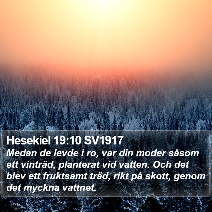 Hesekiel 19:10 SV1917 Bible Study