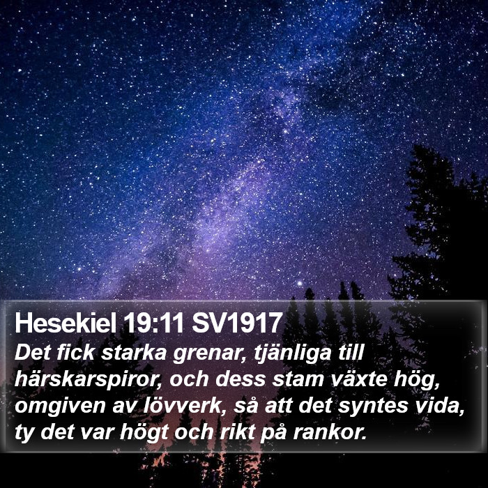 Hesekiel 19:11 SV1917 Bible Study