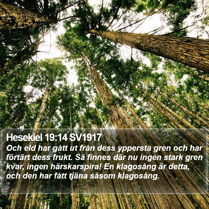 Hesekiel 19:14 SV1917 Bible Study