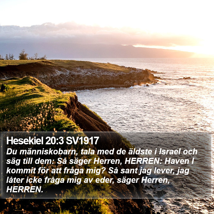 Hesekiel 20:3 SV1917 Bible Study