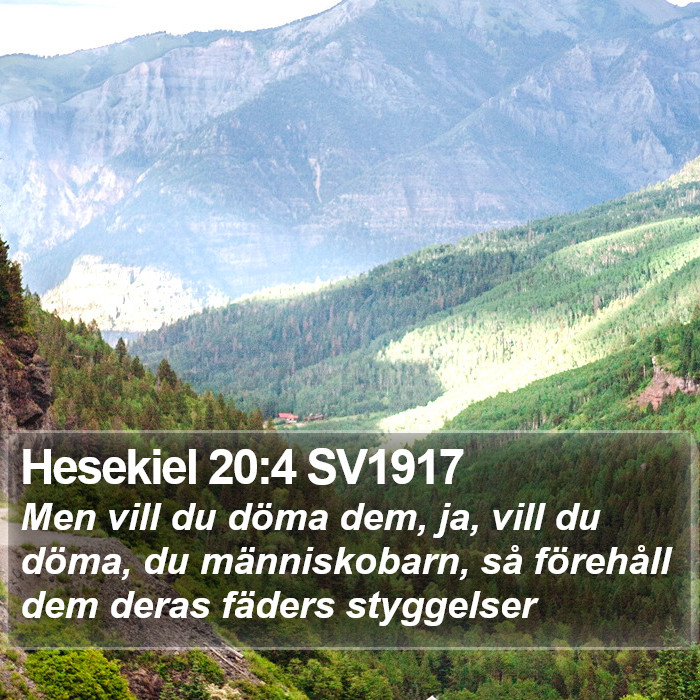 Hesekiel 20:4 SV1917 Bible Study