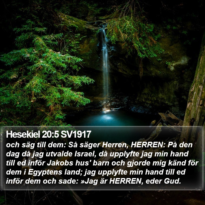 Hesekiel 20:5 SV1917 Bible Study