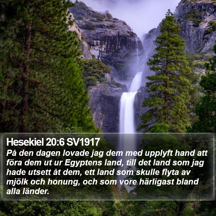 Hesekiel 20:6 SV1917 Bible Study