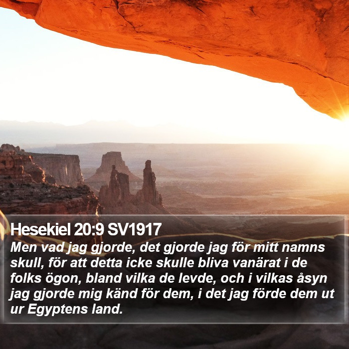 Hesekiel 20:9 SV1917 Bible Study