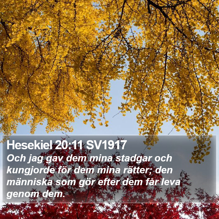 Hesekiel 20:11 SV1917 Bible Study