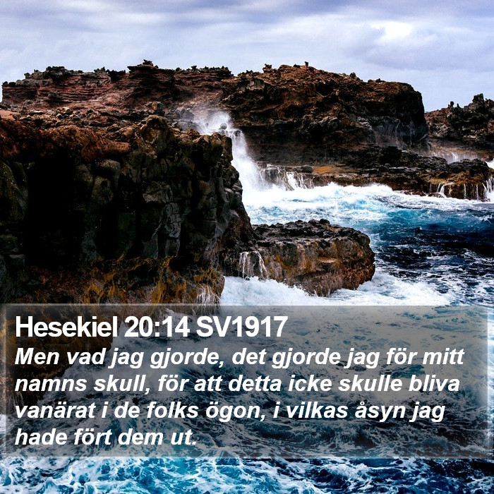 Hesekiel 20:14 SV1917 Bible Study