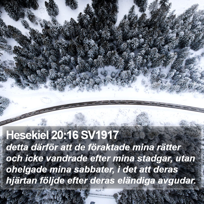 Hesekiel 20:16 SV1917 Bible Study