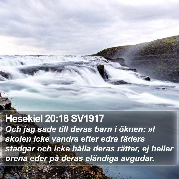 Hesekiel 20:18 SV1917 Bible Study