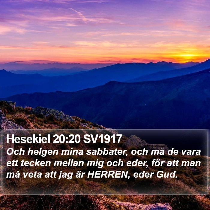 Hesekiel 20:20 SV1917 Bible Study