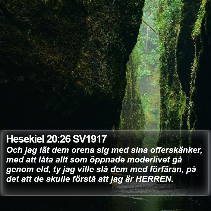 Hesekiel 20:26 SV1917 Bible Study